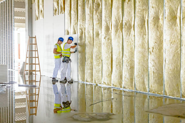Best Blown-in Insulation in Socastee, SC